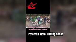 Q43-2500 Διάτμηση αλιγάτορα